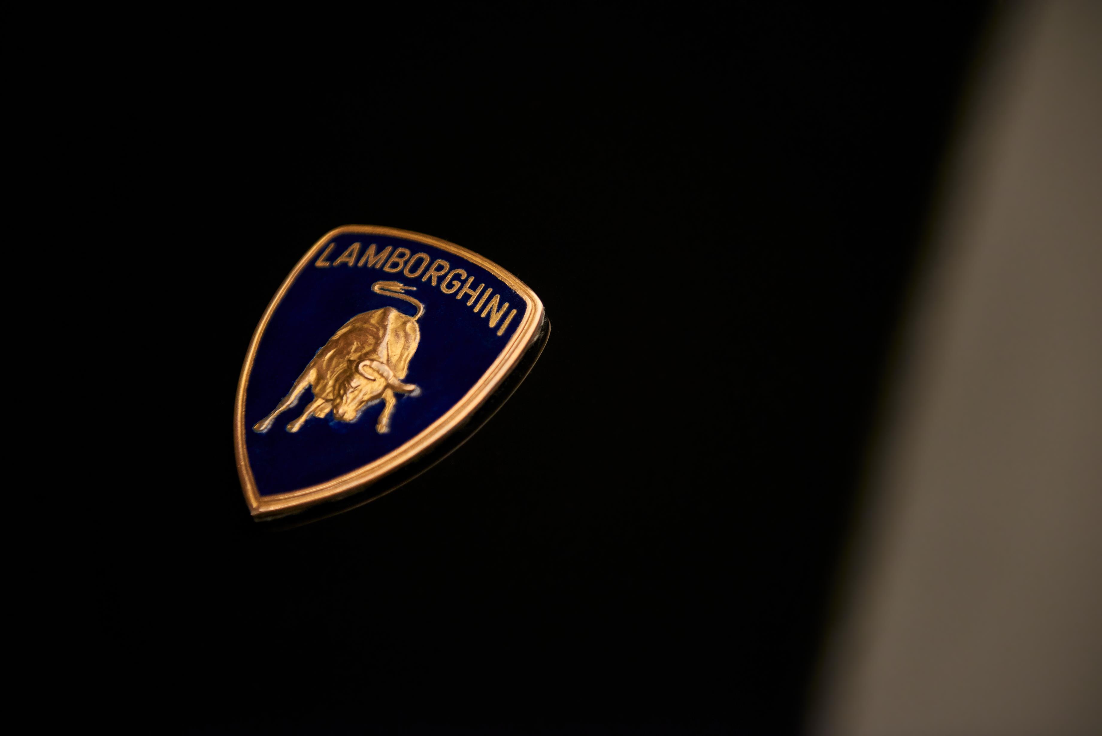 Restored by Polo Storico: The Return of Chassis #12231